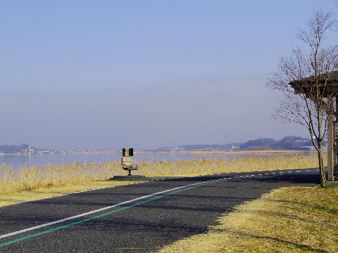 いつものポジション。　良い天気だ。