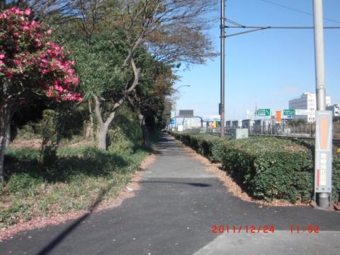 周回コース。右は湾岸道路。