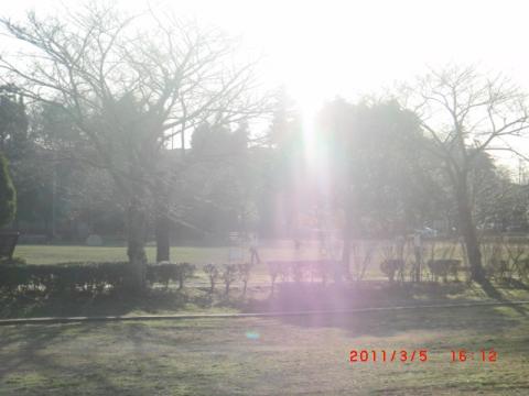 ふるさと柏公園はぽかぽか陽気でいい感じ。