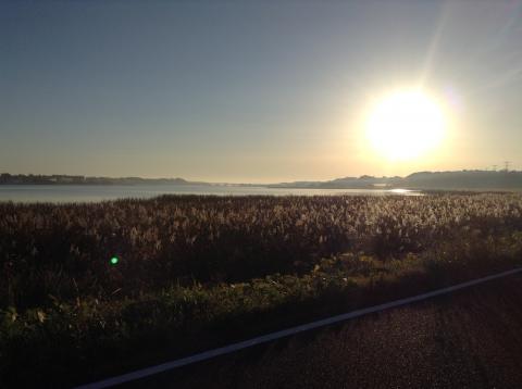朝JOG5.0