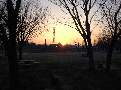 ここからはスマホで撮影。　夕日が沈む。