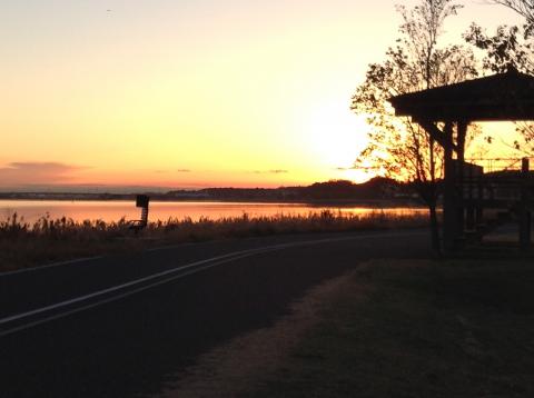 朝JOG7.1