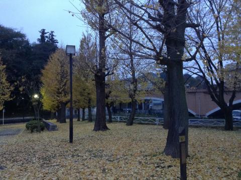 朝JOG5.7