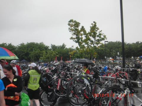 雨の中に設置された、約1000台のBIKE。