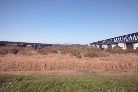 左が常磐高速、正面が筑波山、右がTX。