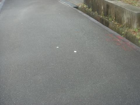 ありました!(^_^)
右側の白いモノ。