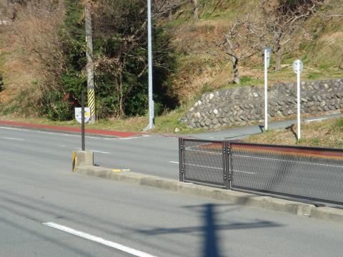 昨年の転倒現場。右から軽い下りを走ってきて、赤い歩道の切れたところで躓いて、すっとんだ。(^_^;) あれ以来ここを通るのは初めてだ。