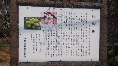 市内ポタリング