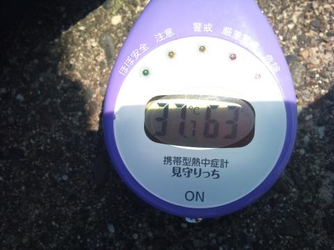 日向では体温より高い。