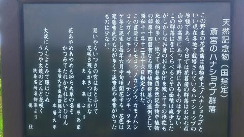 ハナショウブ