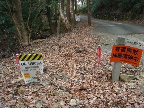 林道を降りたところにはやはりこんな看板が。(^_^;)
