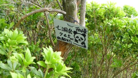七洞岳が目前のところで、かなり急峻な谷超えになったので、ここで引き返すことにした。
