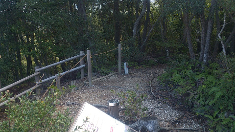 手前が展望台。　右側（昼河山）から登ってきて、　左の階段を下りてサンアリーナに向かう