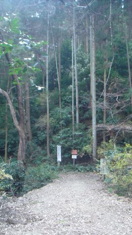 蓮随山の入り口。左側は外宮の裏山。