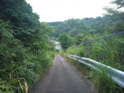 高速側道の激坂脇道を登りきったところ。奥に見えるのは高速道路。