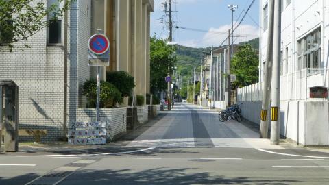 月夜見宮から外宮方面を写す。道の中央がすこし濃い色になっているが、ここは神様が歩く道で人間は通ってはいけないらしい。(^_^;)
この道はひとよんで「神路通り」という。