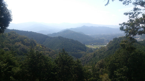 頂上展望台からの景色