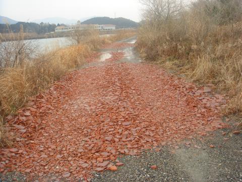 五十鈴川右岸の未舗装路。大きな水たまりに瓦のかけらが敷き詰めてあった。
昔は路地のあちこちに小さい水たまりがあって、朝の味噌汁の具だったアサリやシジミの貝殻や練炭の燃えカスなどで水たまりを埋めていたのを思い出した。三丁目の夕日の世界だ。(^_^;)