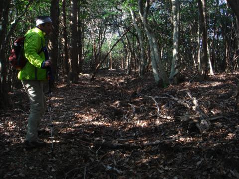 こんな森の中を順調に進むと・・・・・