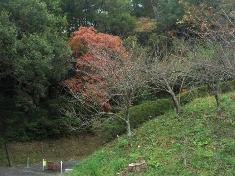 三郷山入口