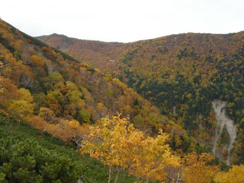 中腹から見る紅葉