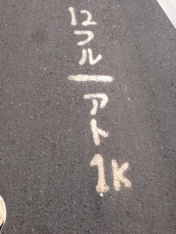 一キロ毎に道路に目印あり。 残り五キロからは、残りの表示もあり。 大学構内の残り一キロポイント。