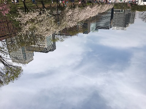 皇居あたり。ここはまだ残っていた
