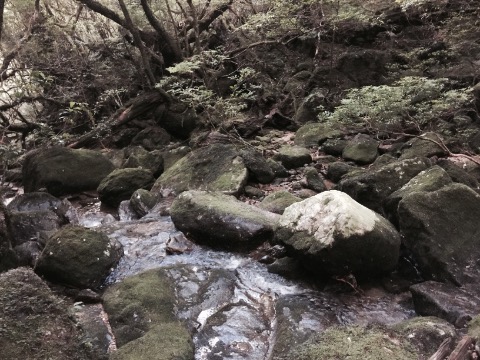 いくつかの渡渉。雨の後は渡れなくなる
