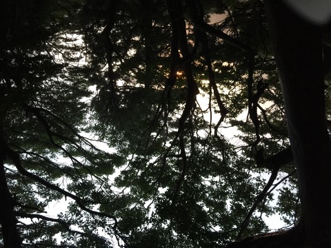 小屋からの夕暮れ