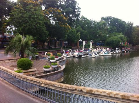 トゥーレ公園(Cong vien Thu le)。
白鳥のボートというのはどの国にもあるものなのかな?