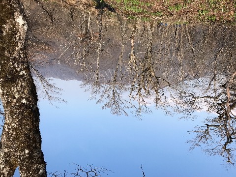 檜洞丸からの眺め