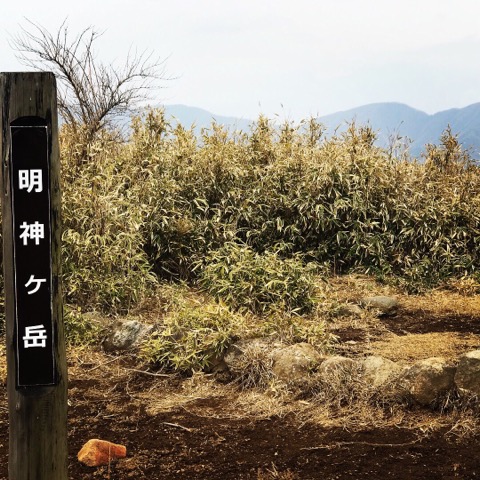 最長距離更新。