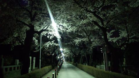 青山墓地にも立ち寄ってみた。夜の１１時くらいなので、墓地の静けさが加わりよい感じ。