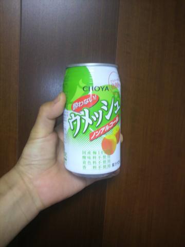 ついに見つけた梅酒ソーダ「ウメッシュ」のノンアルコール版
「チョーヤ 酔わないウメッシュ」