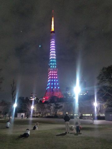 やっぱり嵐は凄かった