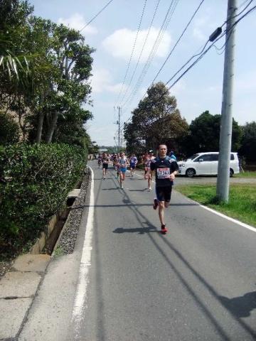 30km地点、さらにのどかです。