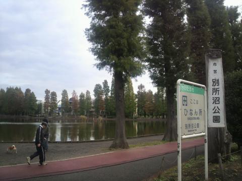 本日はこちら別所沼公園。