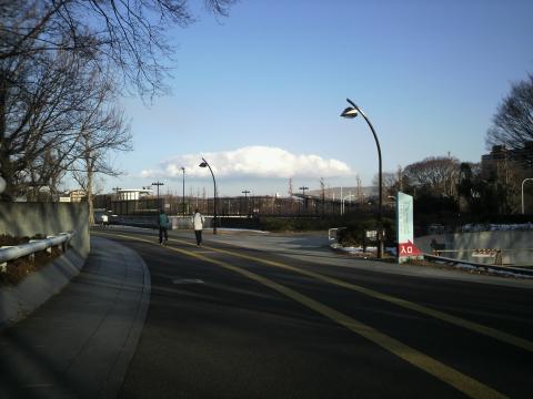 今日はいい天気でした。
ホントに昨日は雪が降ったのでしょうか?