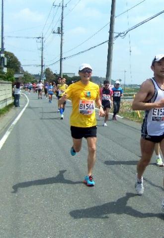 すっかり高速ランナーのトロさん。