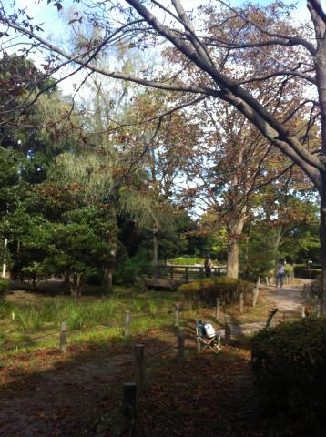あけぼの山農業公園:沢山の方が望遠カメラを持って野鳥観察しておりました。