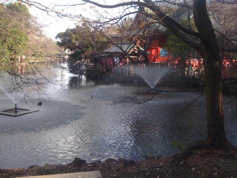 井の頭恩賜公園 井の頭池 弁財天