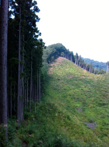 市道山分岐(ハセツネ11.7k)地点までもう一踏ん張り