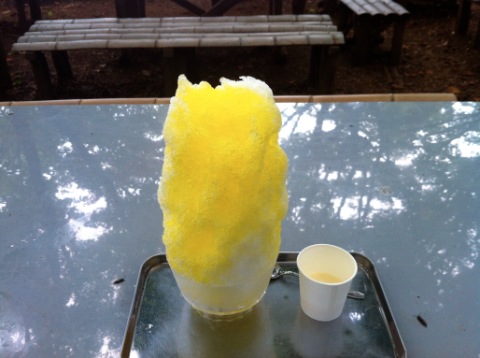 城山名物かき氷
蜂も沢山寄って来るよん。