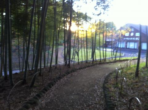 あけぼの山公園
小刻みなアップダウンが続くのでいいトレーニングになるかな。