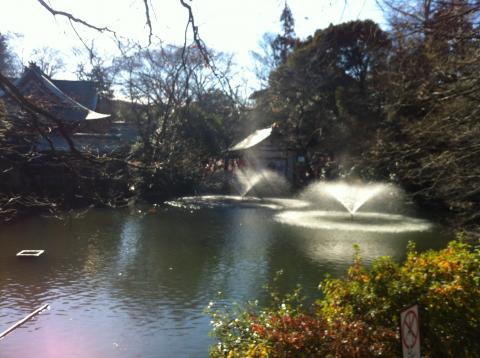 井の頭公園
