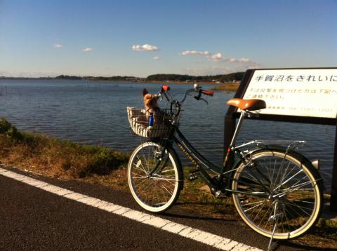 たまにはママチャリゆったりサイクリングもいい。
気分リフレッシュ!