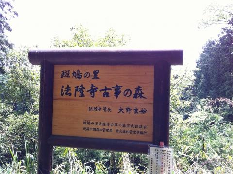 法隆寺古事の森
約2キロ余りですが、夏場のトレイル練習にはぴったりのコースです。