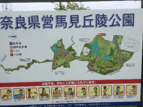 公園案内地図