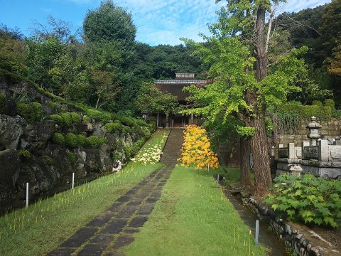 赤(手前)はまだまだ