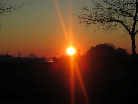 元旦。新年早々下痢でなかなか家を出られず